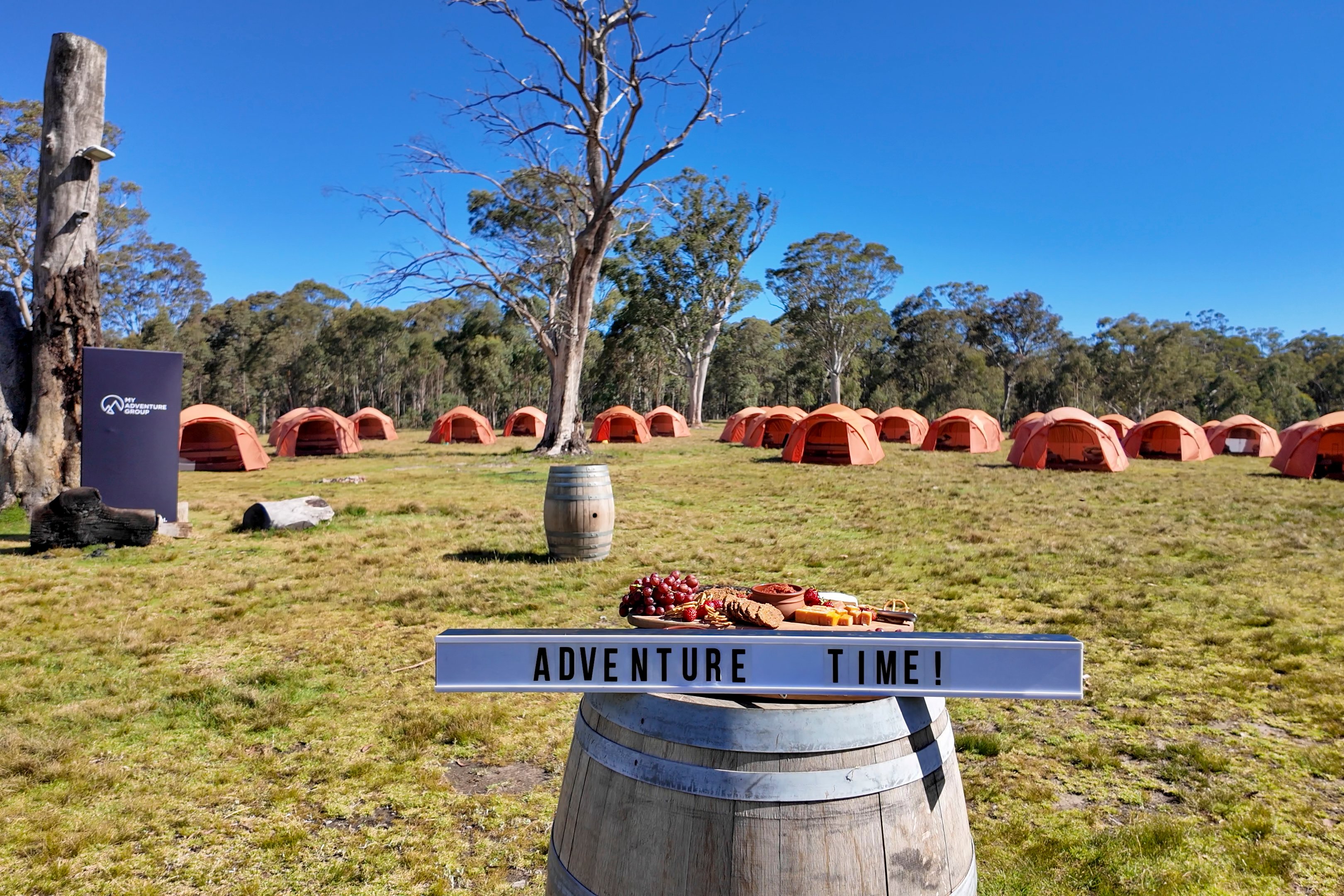 029_MAG_DUAL-AAP2024-1