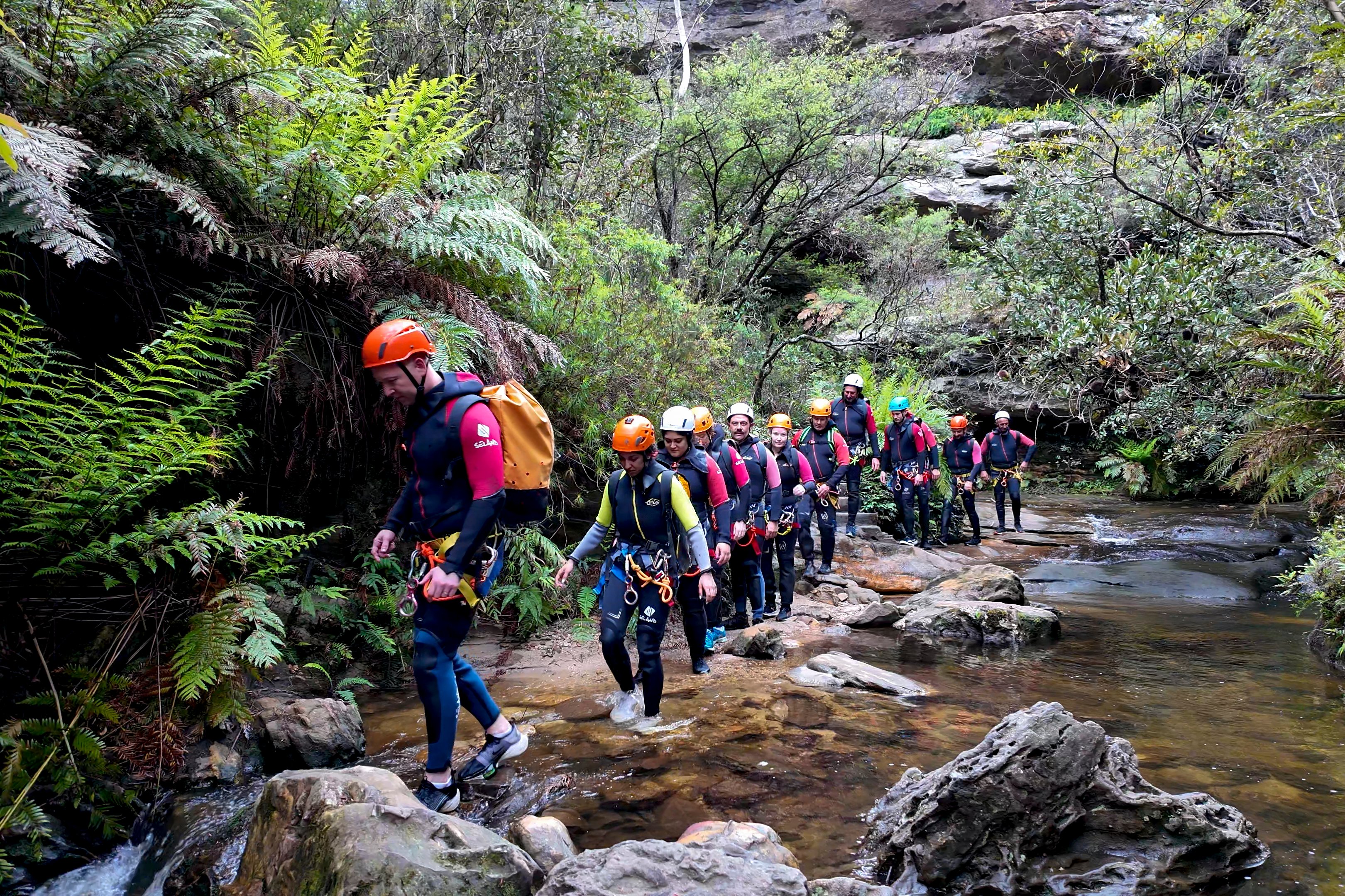 350_MAG_DUAL-AAP2024