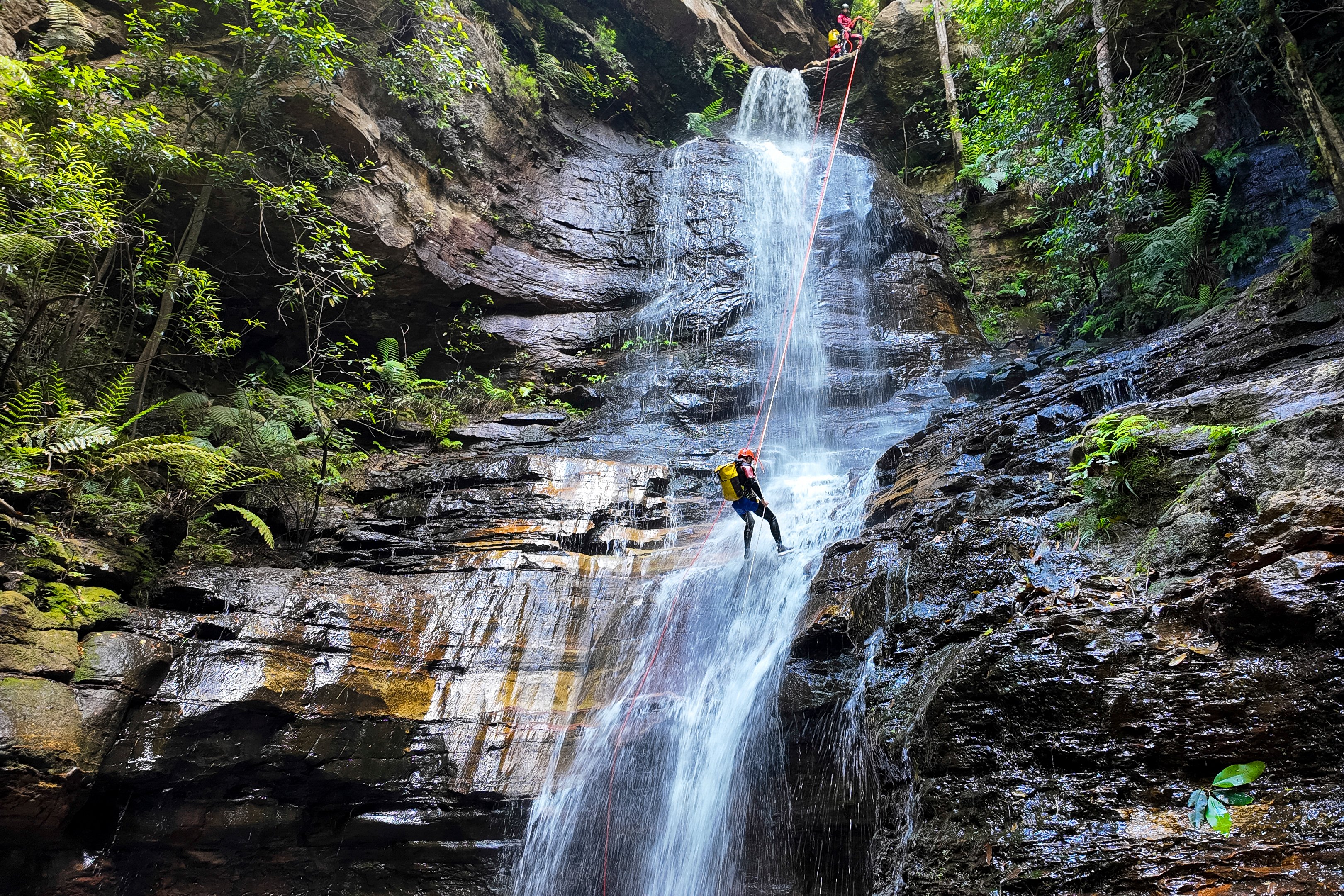 408_MAG_DUAL-AAP2024