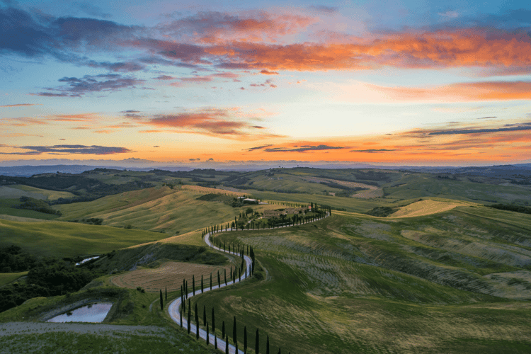 Sunset-fields