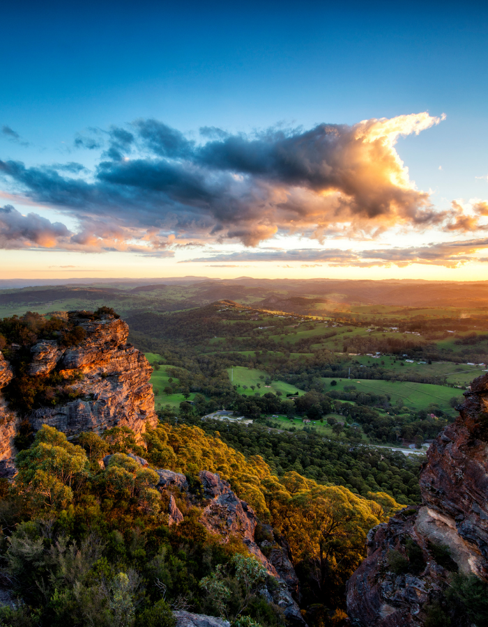 LCP-Micro-Site-Images (1)